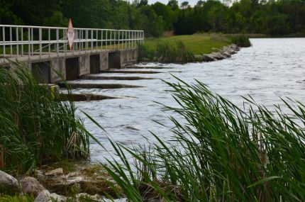 Openings in front of the Forestville Dam