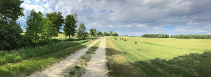 Wide view of the Ahnapee Trail