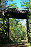 Tall Bridge on Badger State Trail