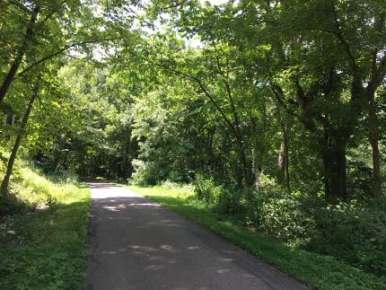 Wooded, Shady part of LMST