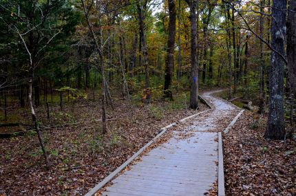 Wooden walkway on Mammoth Cave Bike and Hike trail