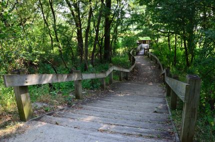 Long Stairway down to Viewing Platform