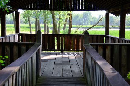 Sun and shade contrast from viewing platform