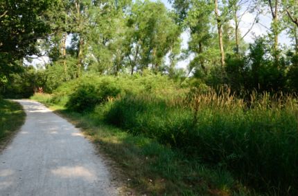 Heading north on bike path