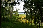 Lake Defiance through the trees