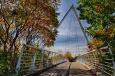 Unique looking bike trail bridge with pointy suspension