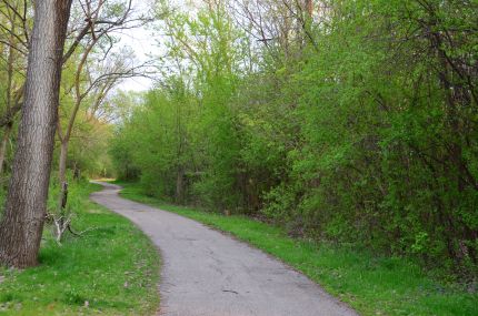 Winding through the woods on the PH trail