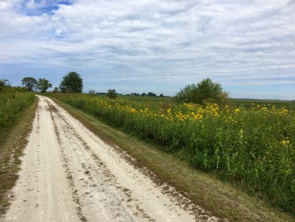 WGT passing through fields and prairies