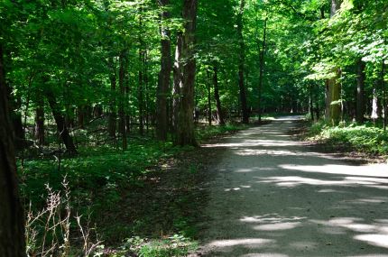 Des Plaines River Trail through the Iroquois Woods