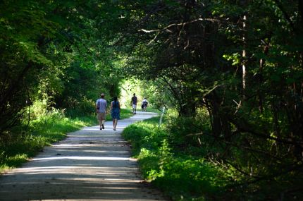 Walkers and riders on the DPR Trail