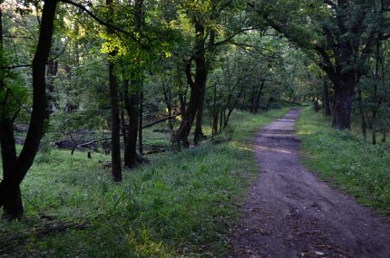 Narrow, rugged section of DPR bike trail south