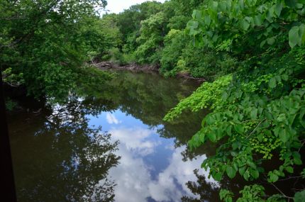 Des Plaines River view