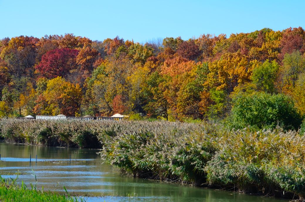 i and m canal trail