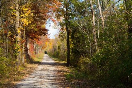 Colorful autumn colors on IM Canal trail