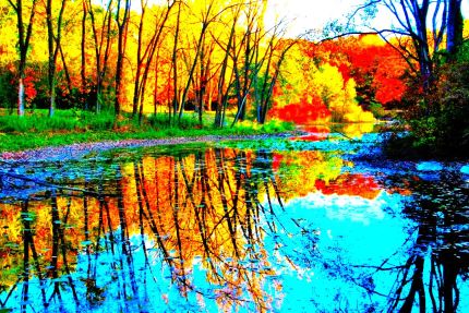 Intense color photo of reflections in Wright Woods