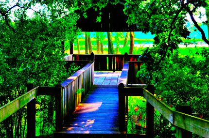 Color enhanced view of viewing platform in Moraine Hills