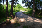 Small Bridge on Millennium Trail