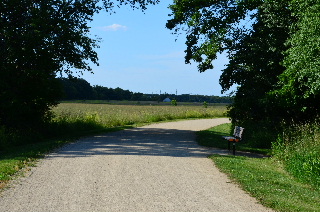 a Bench and Clearing on Millennium Trail