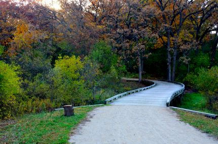 Wooden bridge on Millennium Trail