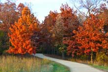 Millennium Bike Trail