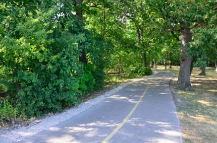 Shady NB Trail