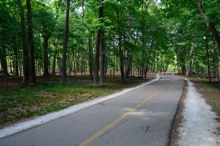 Joggers in the Miami Woods section of the NB Trail