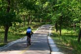 Cyclist on NBT