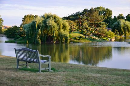 Bench and lake in Chicago Botanic Gardens.