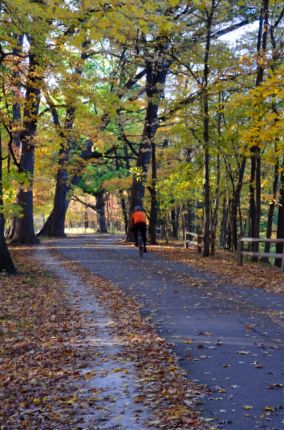 Cyclist in Miami Woods section of NBT