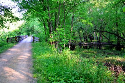 Bridge and Wetlands