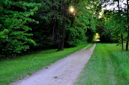 Sun Going down on Great River Trail