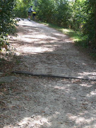 Bike Path Speed Bumps