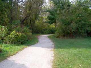 Bike path into the woods again