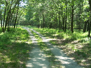 Bike trail near Lake Michigan