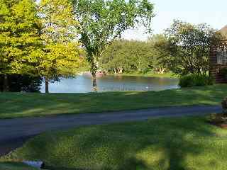 A view of Lake Inverness