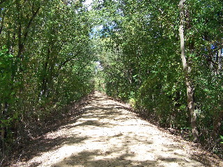 The Southern End of the Jane Addams Bike Trail