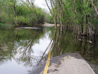 Paul Douglas Bike Trail Flood