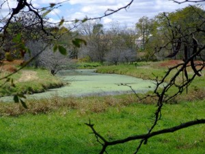 Jane Addams Bike Trail