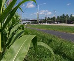 Randall Road Bike Trail