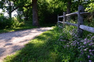 The Millennium Bike Trail