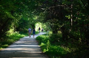 Des Plains River Trail, DPRT, Cook County