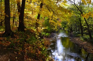 Fall Colors on the North Branch Trail