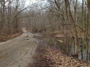 Flooding on Orange Trail in Deer Grove