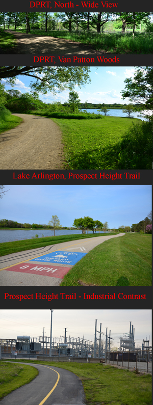 DPRT and Prospect Height Trail