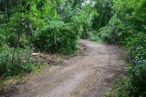 Rugged Bike Trail