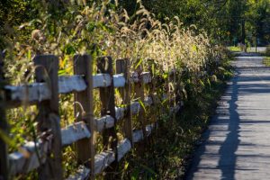 Old Plank Road Trail extension