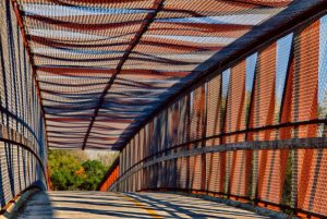 Bridge on Thorn Creek Trail