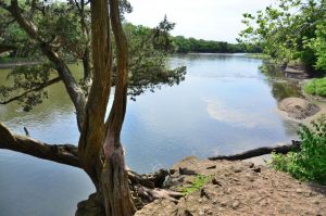 The Kankakee River Trail