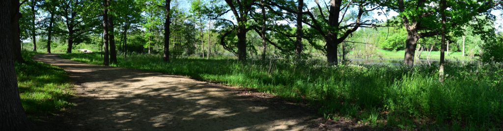 Wide view of Des Plaines River Trail