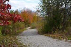 Mammoth Cave Trail